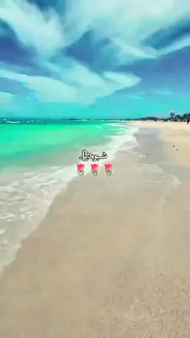 #شبوه_ديرتي_مسقط_الراس💕  #الشعب_الصيني_ماله_حل😂😂 