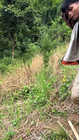 Fcດາວບັນດອນ😂#ดาวบันดอน #ขื้นฟีดเถอะ #เด็กบ้านนอกชีวิตติดดิน #อย่าปิดการมองเห็น 