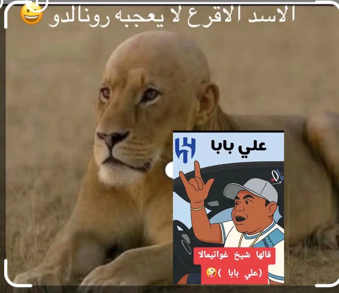 علي بابا كبير فيه صياح على طول 