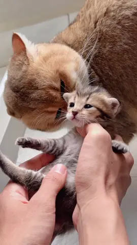 Alhamdulillah Anggun3x sehat walafiat 🙏🏼💅