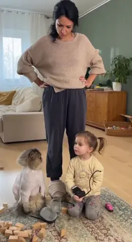 Побрита кицька#смешныевидео #смешныеживотные #котикиприколы #бабушкаикотики #sora2 