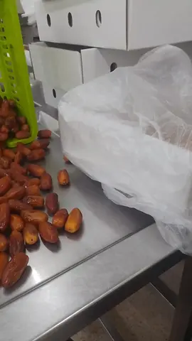 #طولقة_بسكرة07❤️🌴🌴 #طولقة_بسكرة🌴🌴🇩🇿🇩🇿💓💓 #تبسة_بئرالعاتر_الشريعة_الجزائر #مسيلة28 #ديدكاس_58_ولاية_ونحبكم_خاوتي_خياتي 