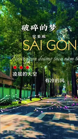 破碎的夢#taiwan🇹🇼việtnam🇻🇳 #nhactrungquoc #creatorsearchinsights #chinesesong #nhachaymoingay 