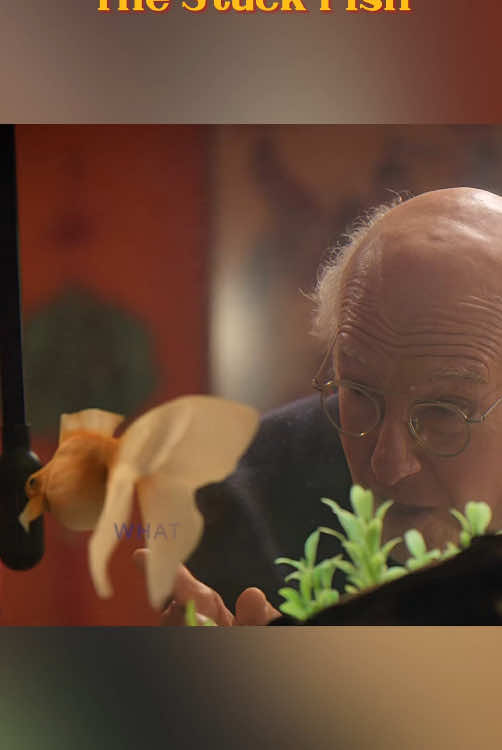 #fypシ #tiktok #foryou #curbyourenthusiasm 