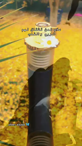 #شبه_ماالطير_يحن_لاهله_ولداره #قهوة_الصباح 