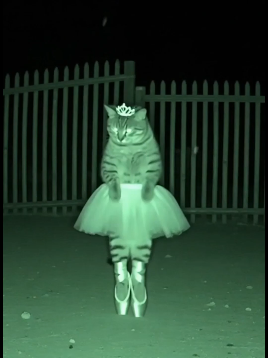 Bạn Đã Sẵn Sàng Bước Vào Kỷ Nguyên Mới Của Wed3 #InterLink #interlinknetwork #ITLG #Web3 #crypto #viral #sora