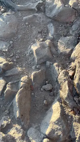 yaa seperti itulah cinta,tak sengaja terpesona lalu terjebak selamanya. #pendaki #pendakigunung #fouryou 