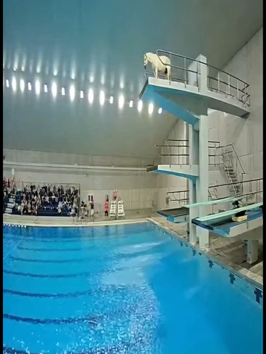 Hãy cho thế giới biết bạn là ai🤩 Hồ sơ đại sứ. Đó là chử ký kỉ thuật số của con người thật trong thế giới phi tập trung. #Interlink #itlg #itl #interlinklabs #viral #sora