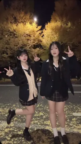 明治神宮のイチョウ並木ライトアップ前だったけど綺麗だった✨11/22からライトアップ始まるって💘#イチョウ #イチョウ並木 #07 #ljk #fyp 