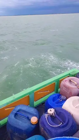 #DELFINHANUNG#tarling_indramayu_cirebon #brebes24jam #fypシ゚ @rudi.yanto5942 