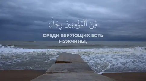 Сура: Аль-Ахзаб, 23 аят и 24 аят не до конца.