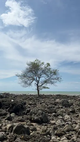 🌊🌊🌊#pantaikarangtlowok #tuban24jam #fyp 