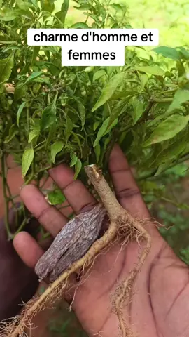 #creatorsearchinsights #recette #tiktokfrance🇨🇵 #tiktokafrique🇹🇬🇨🇩🇨🇮🇧🇯🇬🇦🇨🇲🇬🇦 #modernwarfare 