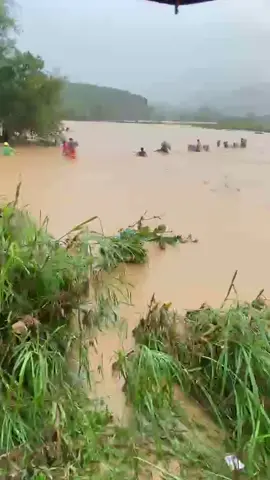 Đừng mưa nữa yang hanh lụt quá rồi🥲 ##krongbong #bão #lũlụt #lũlụt 