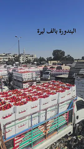 #دمشق_حلب_حمص_حماة_طرطوس_الاذقية #سوق_الهال #درعا #حوراني #انخل 