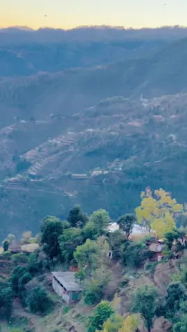 @SK 🦅 repost 💔🫀