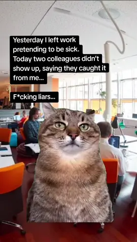 #Memes #memesdaily #memestiktok #funnymemes #worklife 