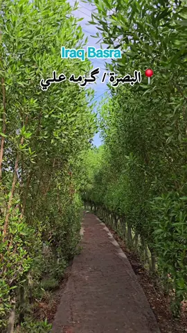 📍العراق البصره قضاء الهارثه  گرمه علي .. #الإعلامي_سعد_الزاملي  #كرمه_علي_بصره  #الهارثه_حي_الانتصار  #كرمه_علي  #المربد 