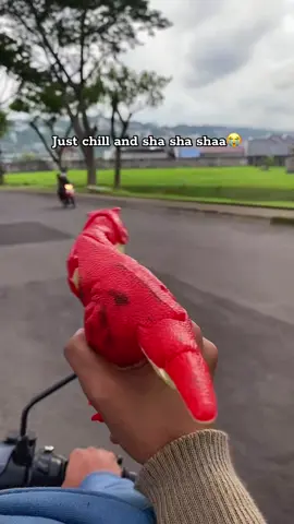 Sha sha shaaa😭 #dinosaurs #mainan #foryou 