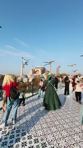 Sunny moments above Istanbul 🌤️ At Seven Hills Restaurant, every visit teels magical - seagulls flying, breathtaking views of Hagia Sophia ano the Blue Mosque, and the peaceful charm of the city all around. #SevenHillsRestaurant 