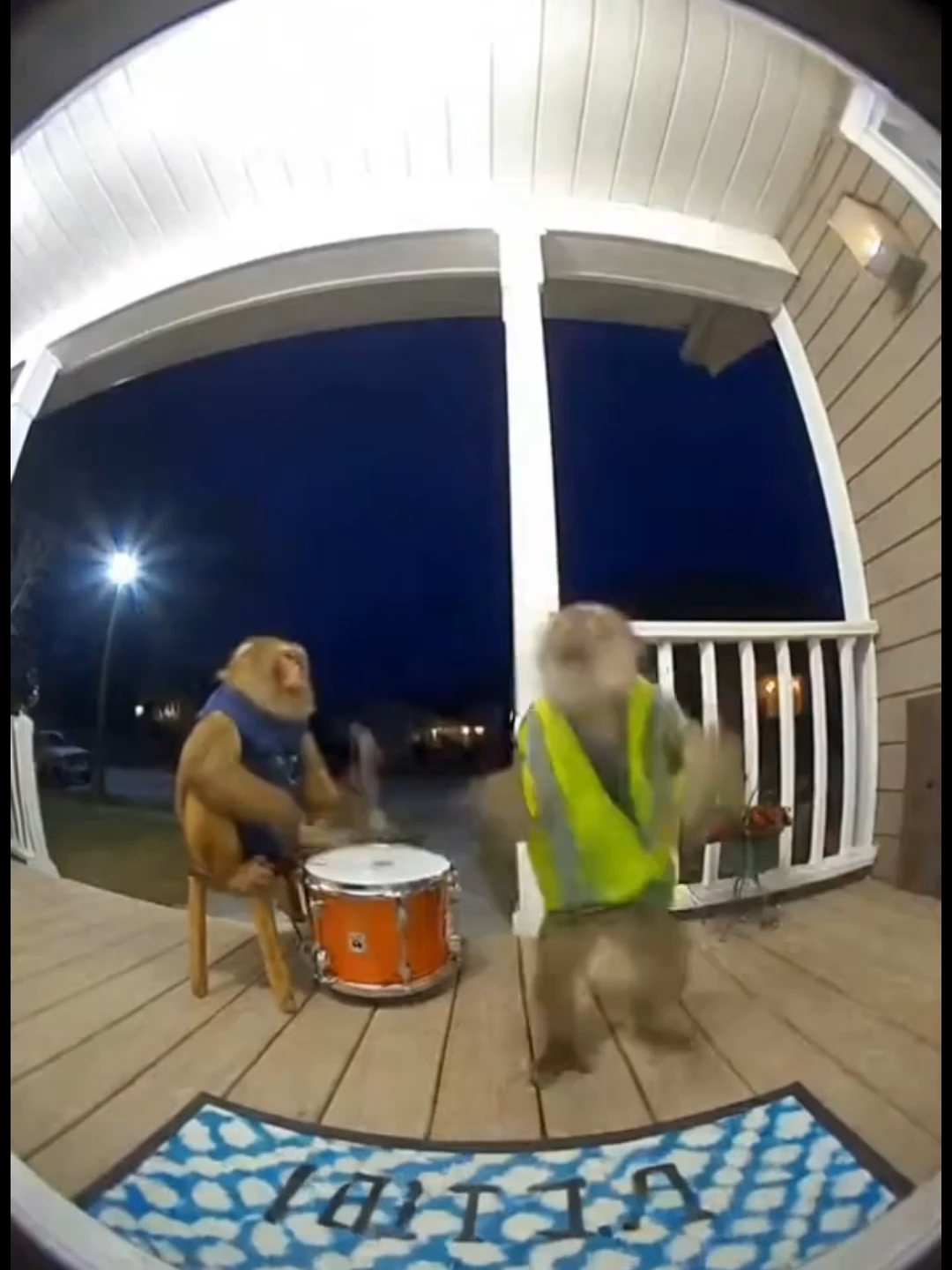 Điều tra một vài thông tin cơ bản về InterLink Labs Inc, tổ chức đứng sau InterLink Network. Liệu có minh bạch?? InterLink Labs Inc, ( Domestic Coporation, Neveda), thành lập 27/7/2023, cấu trúc tổ chức theo mô hình công ty kiểu C-Corp (startup,công nghệ hoặc là công ty có mục tiêu phát triển mạnh mẽ).. #nextgens #interlink #itlg #interlinknetwork #interlinklabs #blockchain #crypto #crypcurrency #web3 #airdrop #trend #sora #monkey #funnyvideo