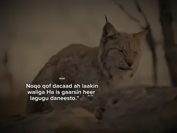 🖤🔥 #videoviral #Z4ck..15