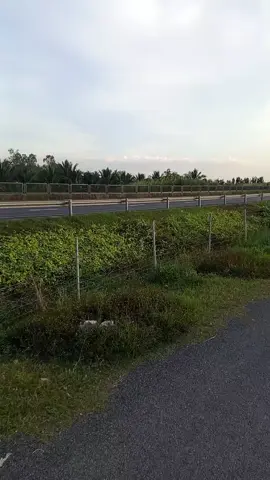 #xuhuong #xuhuongtiktok #xh #xetai #viral 