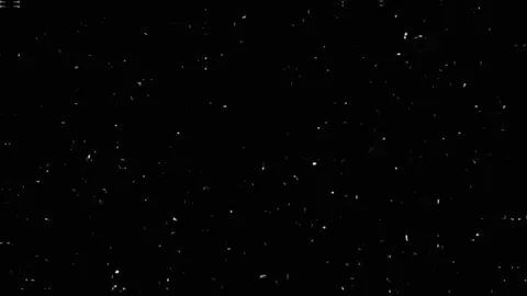 #سعد_محمد_الحسن #شعراء_وذواقين_الشعر_الشعبي @الشعراه #شعب_الصيني_ماله_حل😂😂 #هاشتاقات_تيك_توك_العرب #تصاميم_فيديوهات🎵🎤🎬 