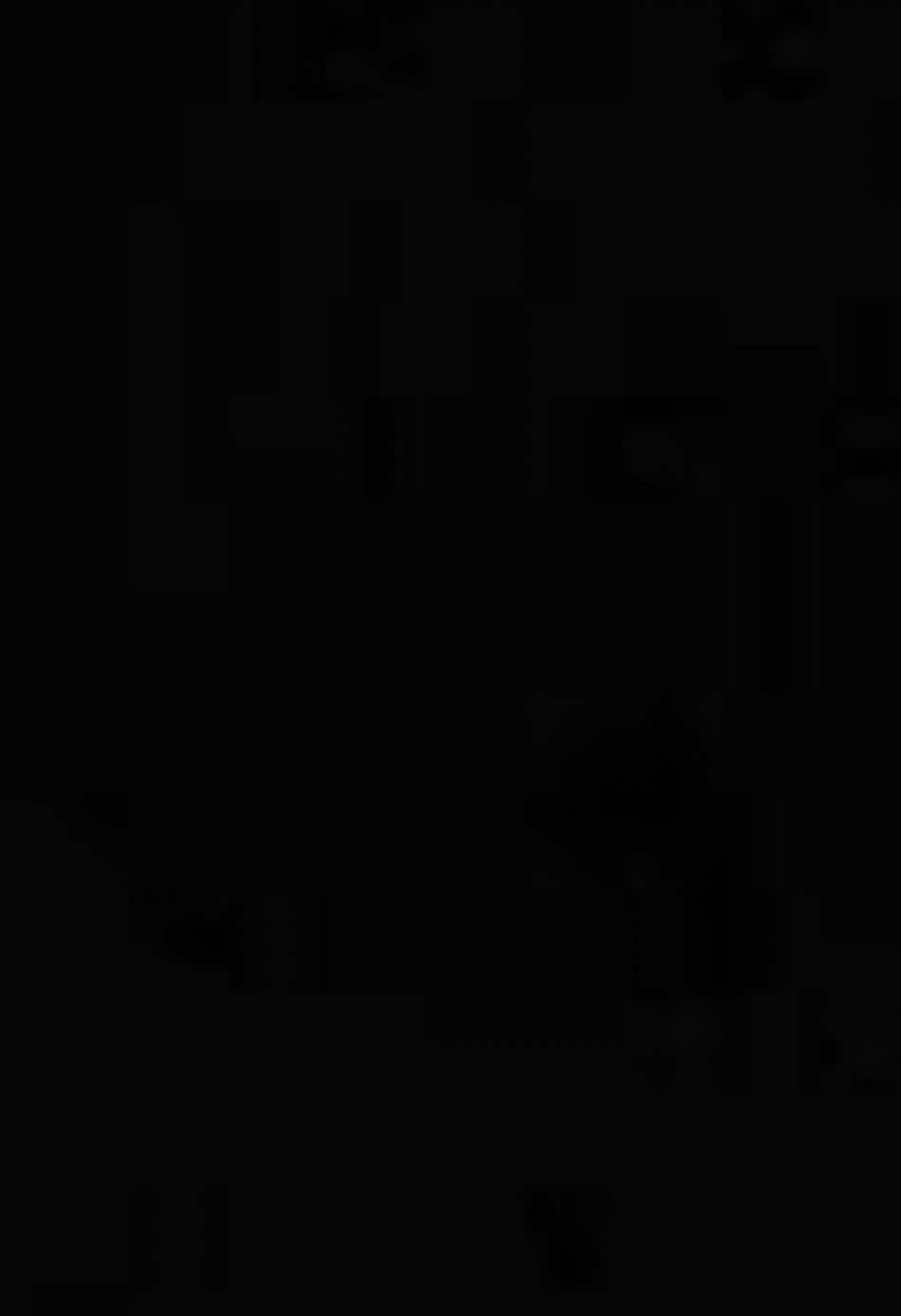 “có phải anh vừa hận vừa yêu?”