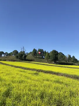 ❤️‍🩹 #LalitThakuri #viral #foryou #foryoupagе #flpシ 