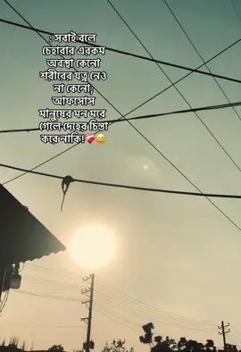 ❤️‍🩹: সবাই বলে চেহারার এরকম অবস্থা কেনো শরীরের যত্ন নেও না কেনো; আফসোস মানুষের মন মরে গেলে দেহের চিন্তা করে নাকি!❤️‍🩹😅