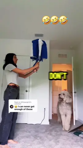 If Dog can speak🤣🤣🤣#FunnyAnimals #PetHumor #animal #AnimalVoiceovers #TalkingAnimals 