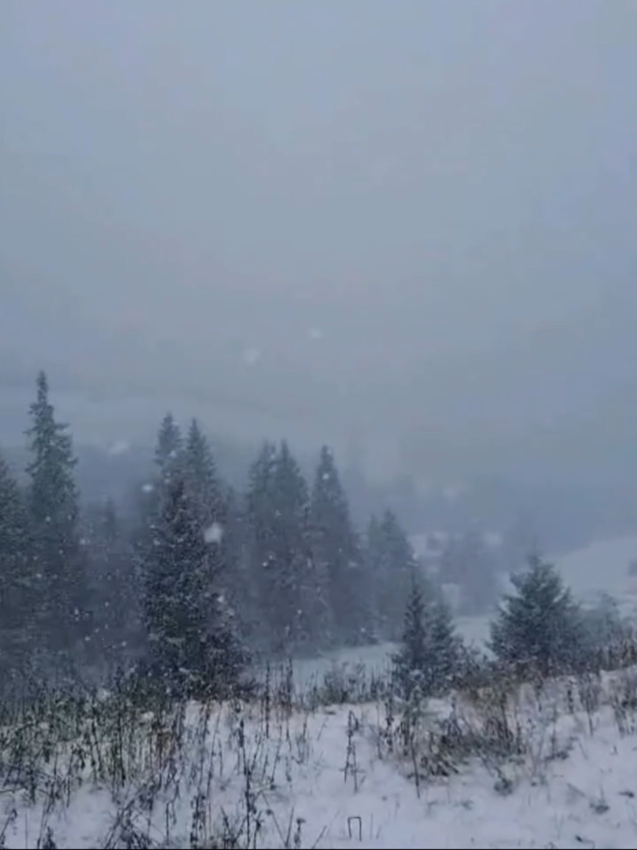 Pasul Palma Suceava, iarna și-a intrat în drepturi ☃️ @Echitatie Pasul Palma 