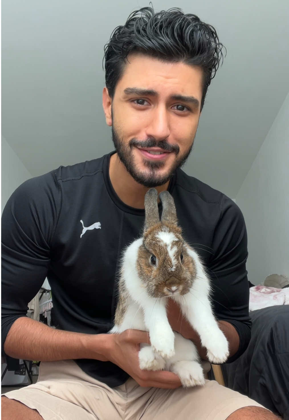 If you have a bunny at home make sure to protect your furniture because they can chew on your chair or couch trust me! I hope this advice will help you 