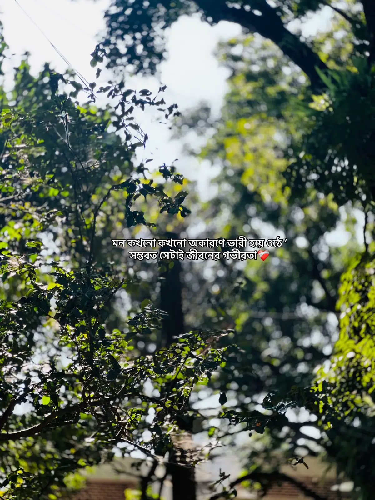 #Outfit cowok Berwarna #foryou 