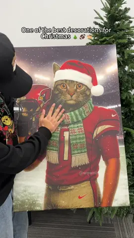 🤩A must-have for pet lovers who adore football! 🏈🐾#family #Christmas #wownine #fyp #gifts #custom #gift #pet #dog #cat #fooball #nfl #ncaa