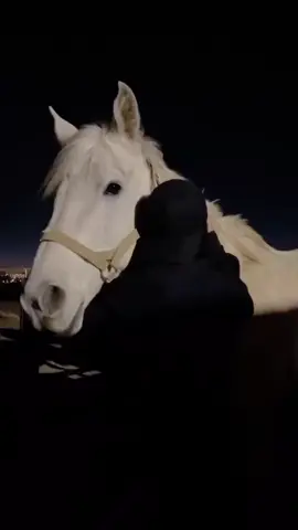 هل سامحت من اذاك؟ #مجرد_ذووقツ🖤🎼 #حزن #fyp 