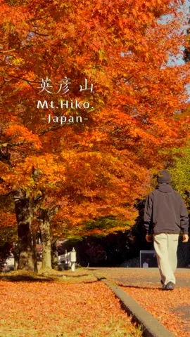 秋の福岡を存分に感じた。 #紅葉  #fukuoka  #japantravel  #autumn 