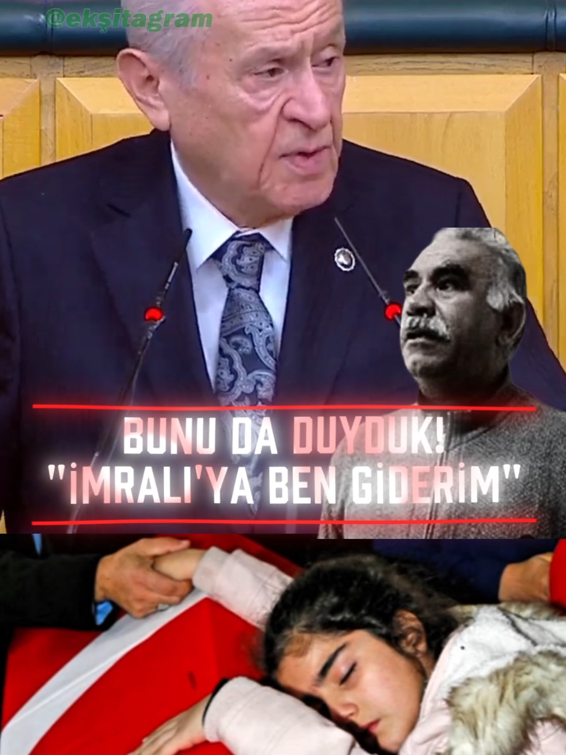 Devlet Bahçeli, 