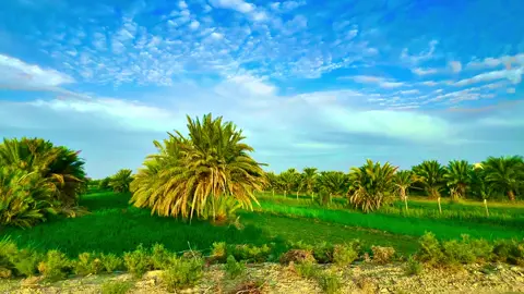 الجو ولا غلطه #تصويري_احترافي_الاجواء👌🏻🕊😴 #الهم_صلي_على_محمد_وأل_محمد #تصميم_فيديوهات🎶🎤🎬تصميمي🔥 #لايك__explore___ 