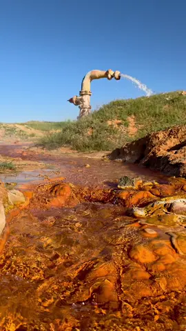 🧡📸✨#تصميم_فيديوهات🎶🎤🎬 #قماطه_قصرالاخيار #ليبيا🇱🇾🧡✨📸 