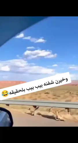 #الشعب_الصيني_ماله_حل😂😂 #الشعب_الصيني_ماله_حل😂😂 #الشعب_الصيني_ماله_حل😂😂 