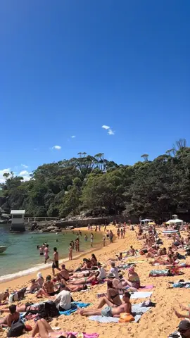A day at camp cove 🌊🐚🌸☀️ #campcove #australia #sydney #travel