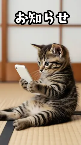 お知らせにゃ。リンクはプロフを見てにゃ！ #ai猫 #子猫 