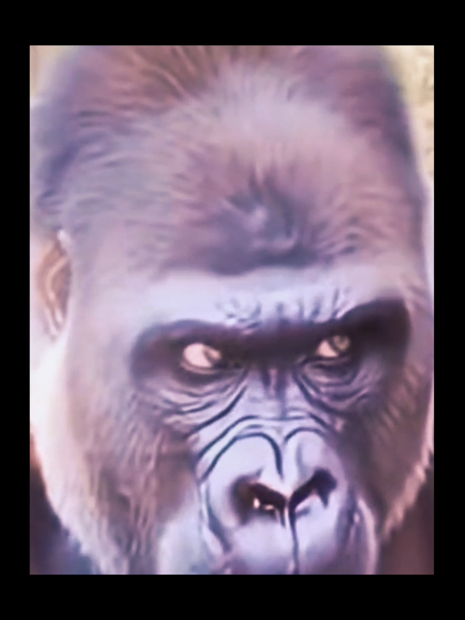 #foryou #wesamsung #fyp 