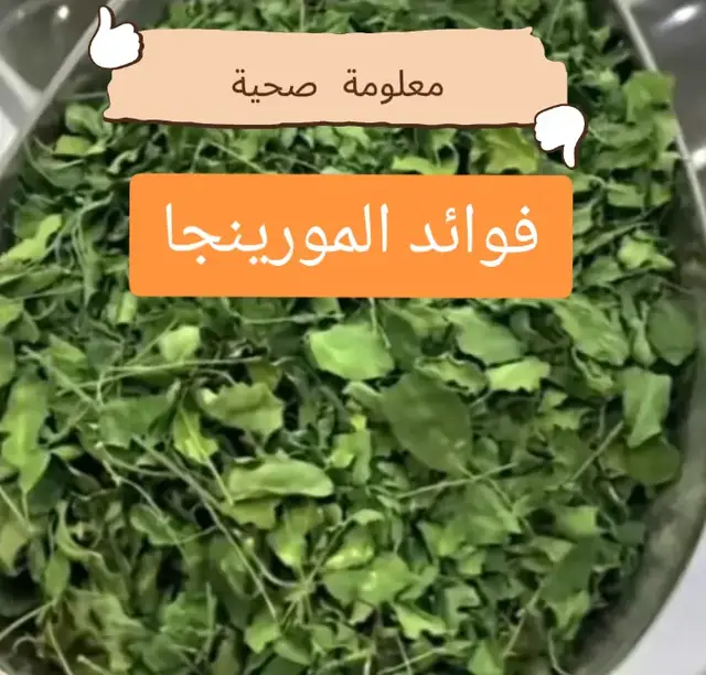 #الصحة #الطب_البديل #سما_للأعشاب #المورينجا #العلاج_الطبيعي 