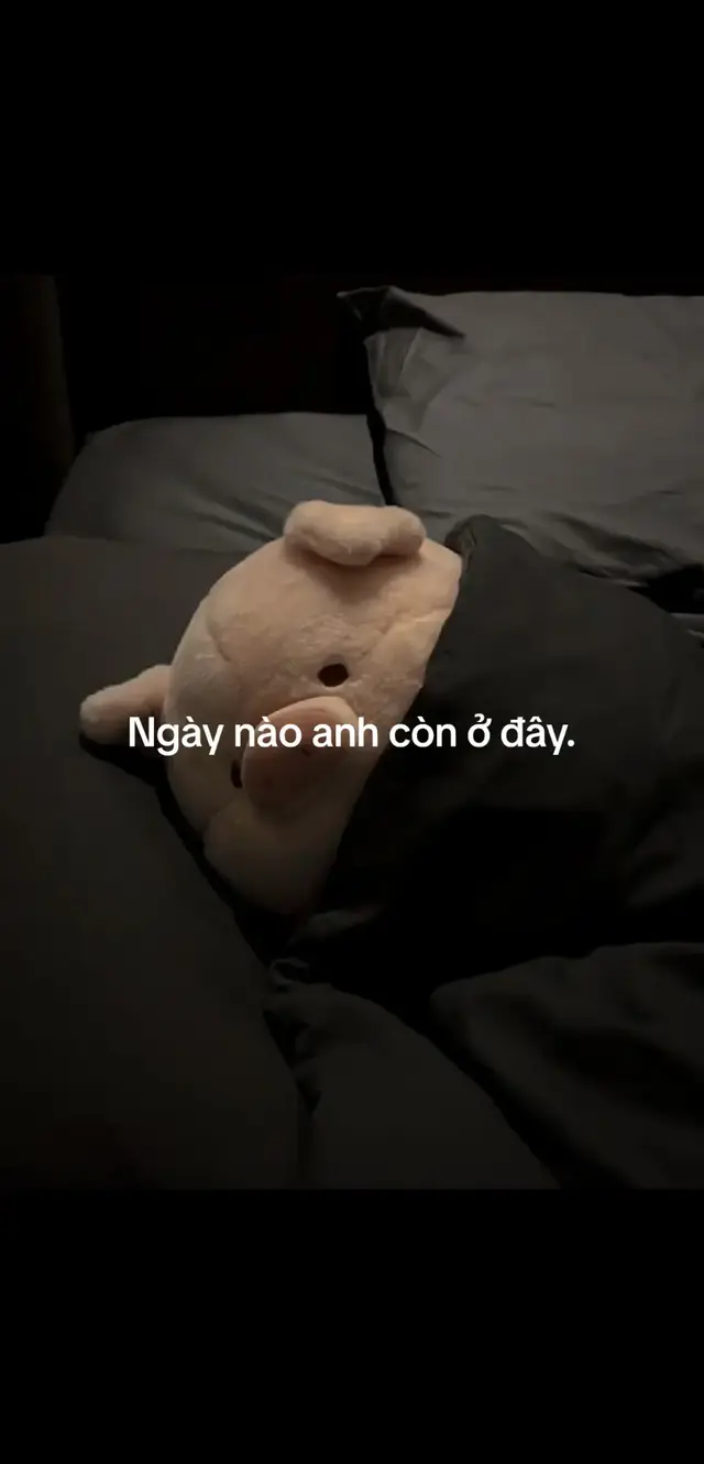 Ngày nào anh còn ở đây.