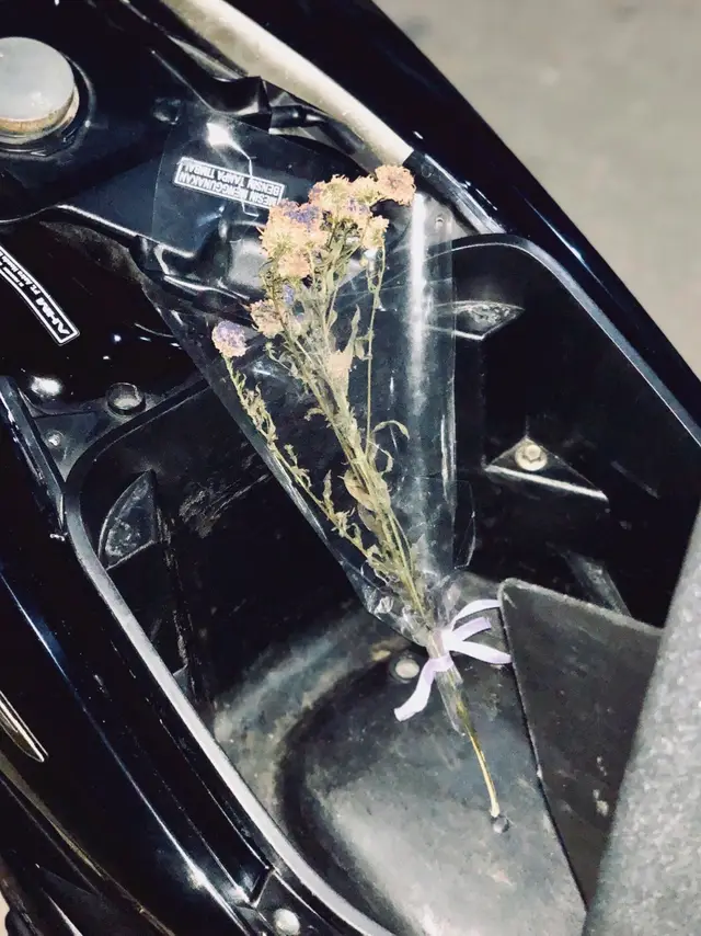 #varionistyindonesia #vavarioan #penggunaring17 #vario125 #varioledold 