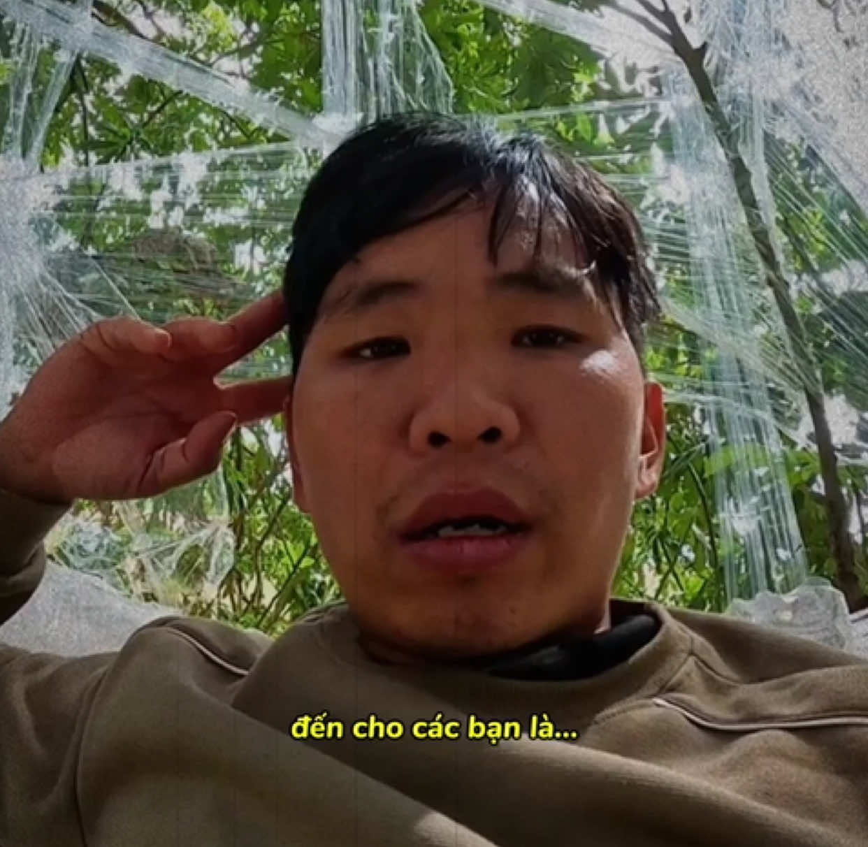 Mấy tập trở lại gần đây Phong híp thế nào lại hoài niệm #phong #phd #phuonghuuduong #fypシ゚ #xh 