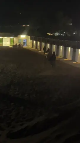 افلام نوار 😂😂😂 #خيل_وخياله🐎 #explore #حصان #المزاحمية 